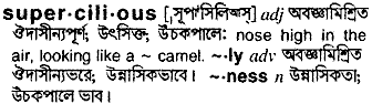 Supercilious meaning in bengali