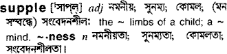 Supple meaning in bengali