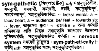 Sympathetic meaning in bengali