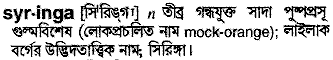 syringa 
 meaning in bengali