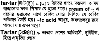 Tartar meaning in bengali