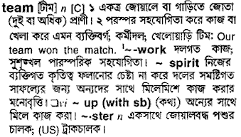 Team meaning in bengali