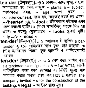 Tender meaning in bengali