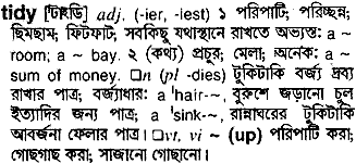 Tidy meaning in bengali