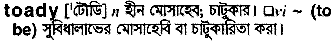 Toady meaning in bengali