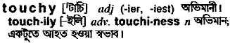 Touchy meaning in bengali