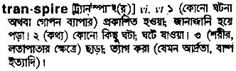 Transpire meaning in bengali