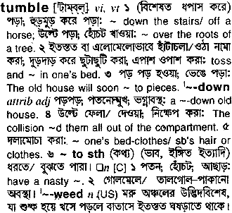 Tumble meaning in bengali