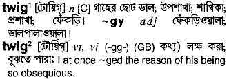 Twig meaning in bengali