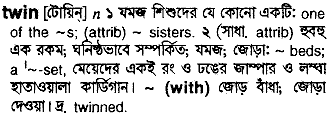 Twin meaning in bengali