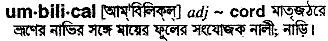 Umbilical meaning in bengali