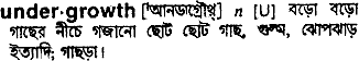 Undergrowth meaning in bengali