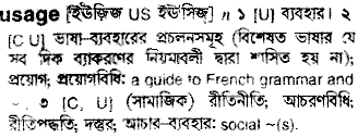 Usage meaning in bengali