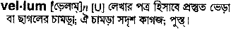 Vellum meaning in bengali