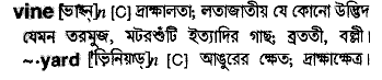 Vine meaning in bengali