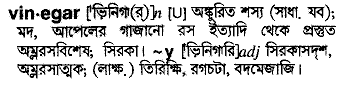 Vinegar meaning in bengali