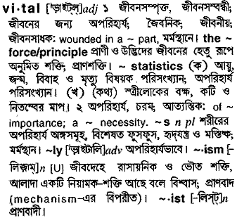 Vital meaning in bengali