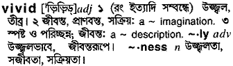 Vivid meaning in bengali