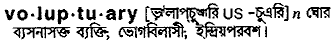 Voluptuary meaning in bengali