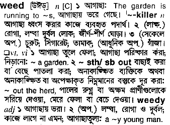 Weed meaning in bengali