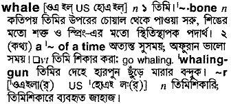 Whale meaning in bengali