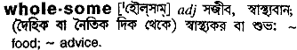 Wholesome meaning in bengali