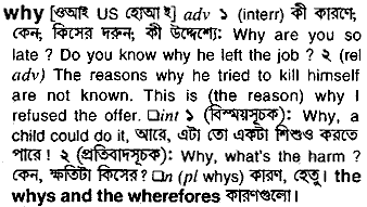 Why meaning in bengali